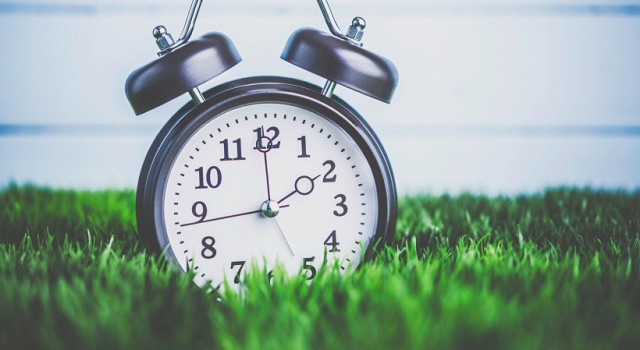 clock in grass